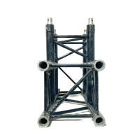 Used | Protruss | H30V-C017 - Black