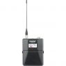 B-Stock | Shure | ULXD1 - H51 (534-598 MHz) - Bodypack