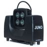 CLF | Juno